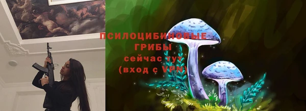 винт Алексин