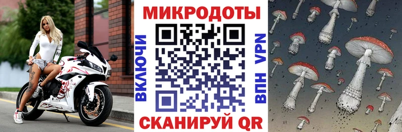 где продают наркотики  Кизел  Галлюциногенные грибы Magic Shrooms 